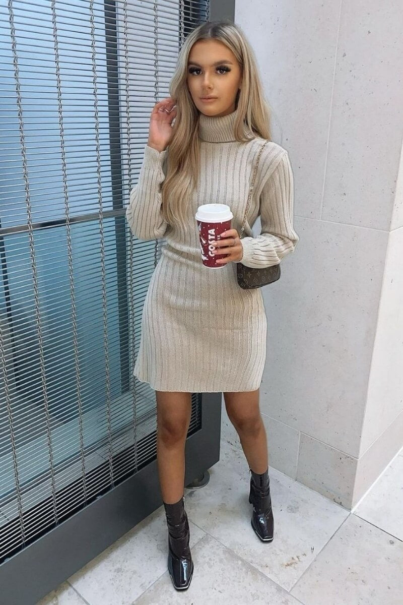 Beige Rib Knit Roll Neck Jumper Dress Fashion By Maya Beige Rib Knit Roll Neck Jumper Dress Fashion By Maya
