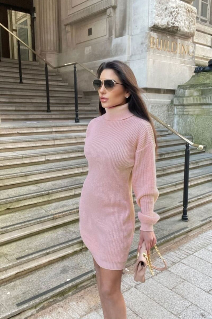 Rose Roll Neck Knitted Jumper Dress